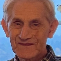 Leif Johannes Elfarvik